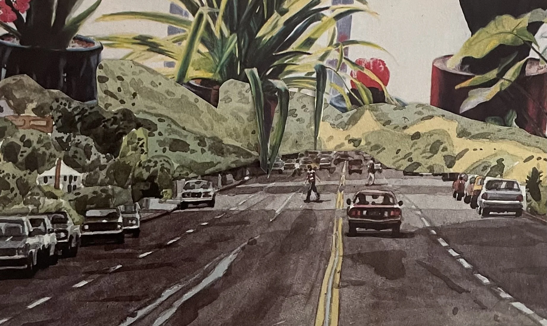 Suburban Oasis