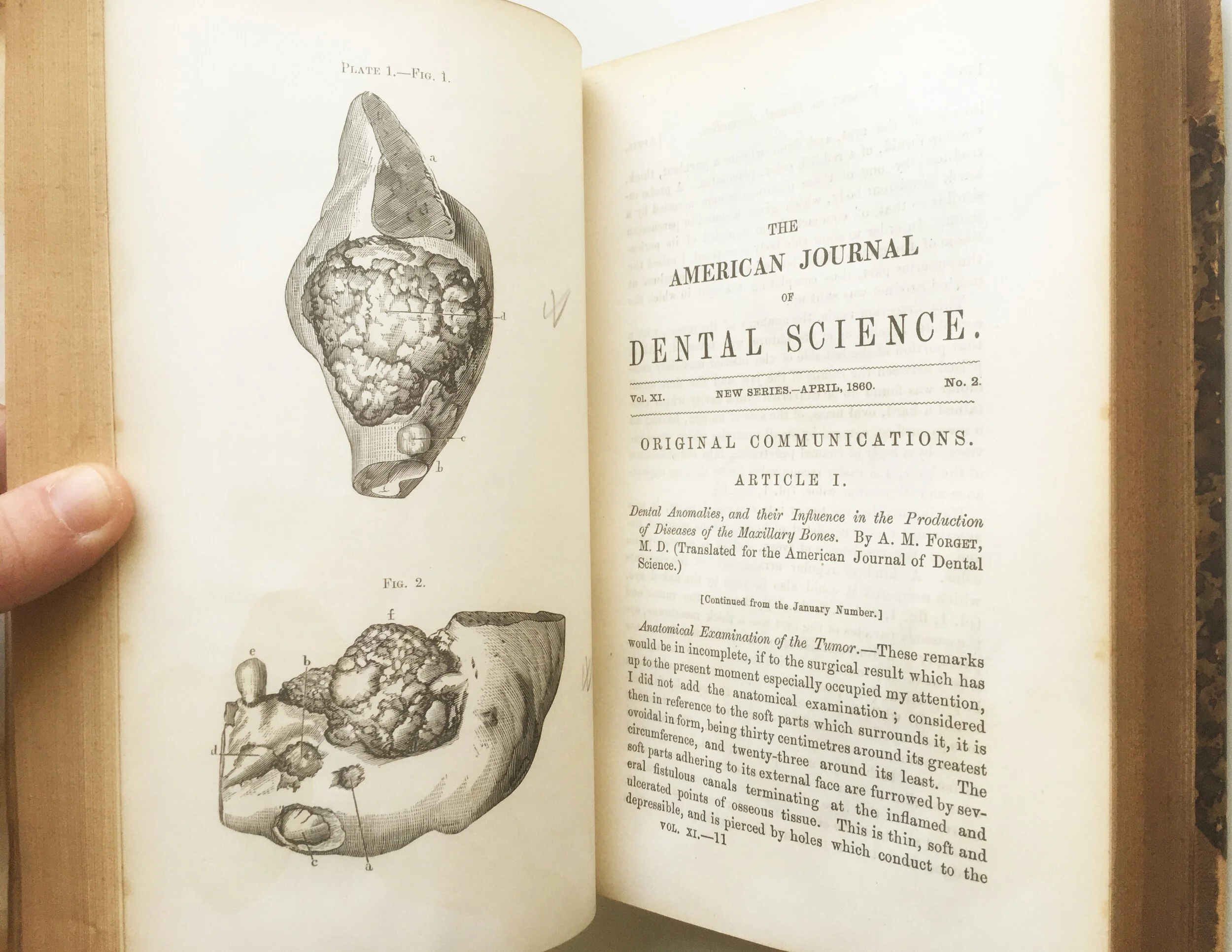 2021-04-27 09.59.39.jpg