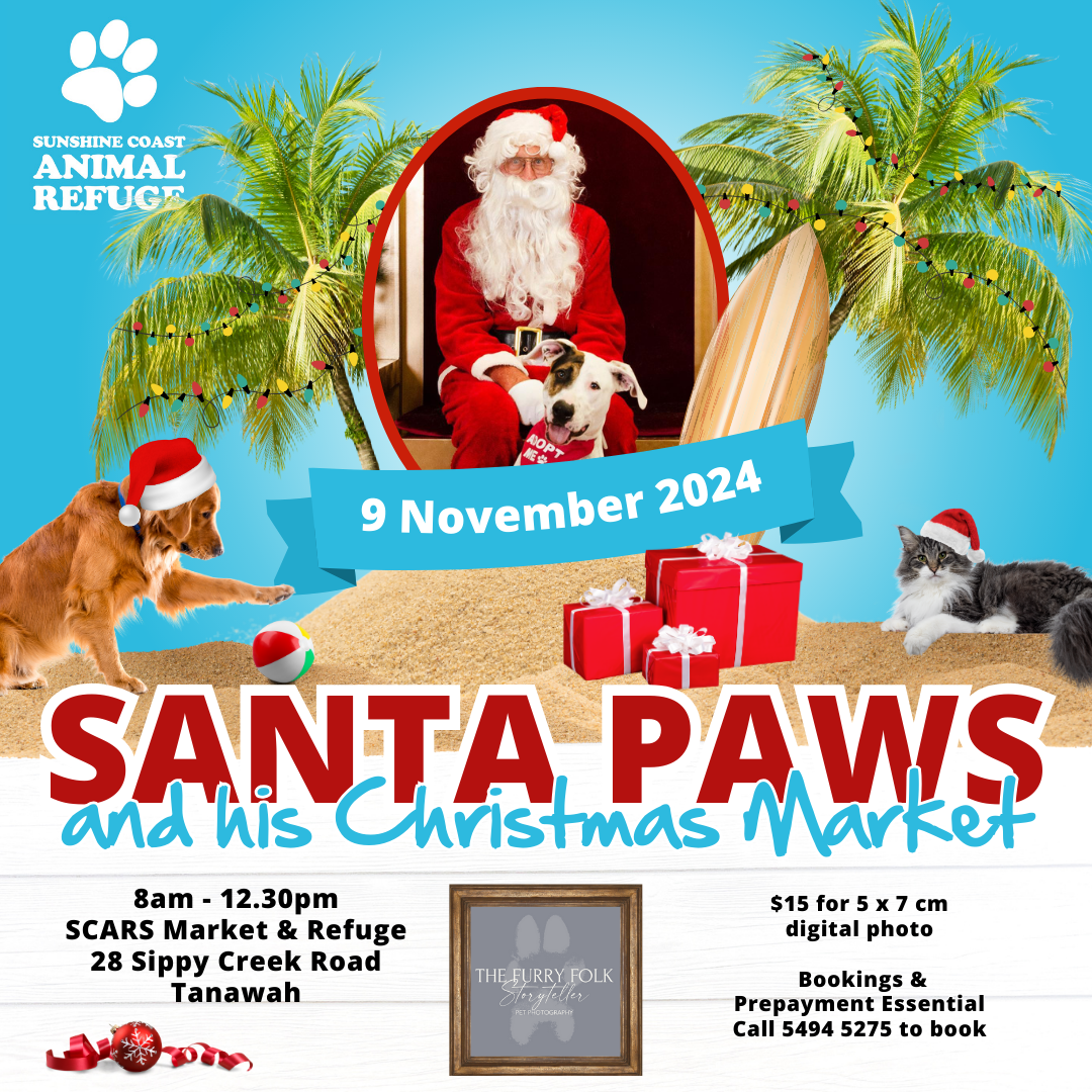 Santa Paws and his Christmas Market