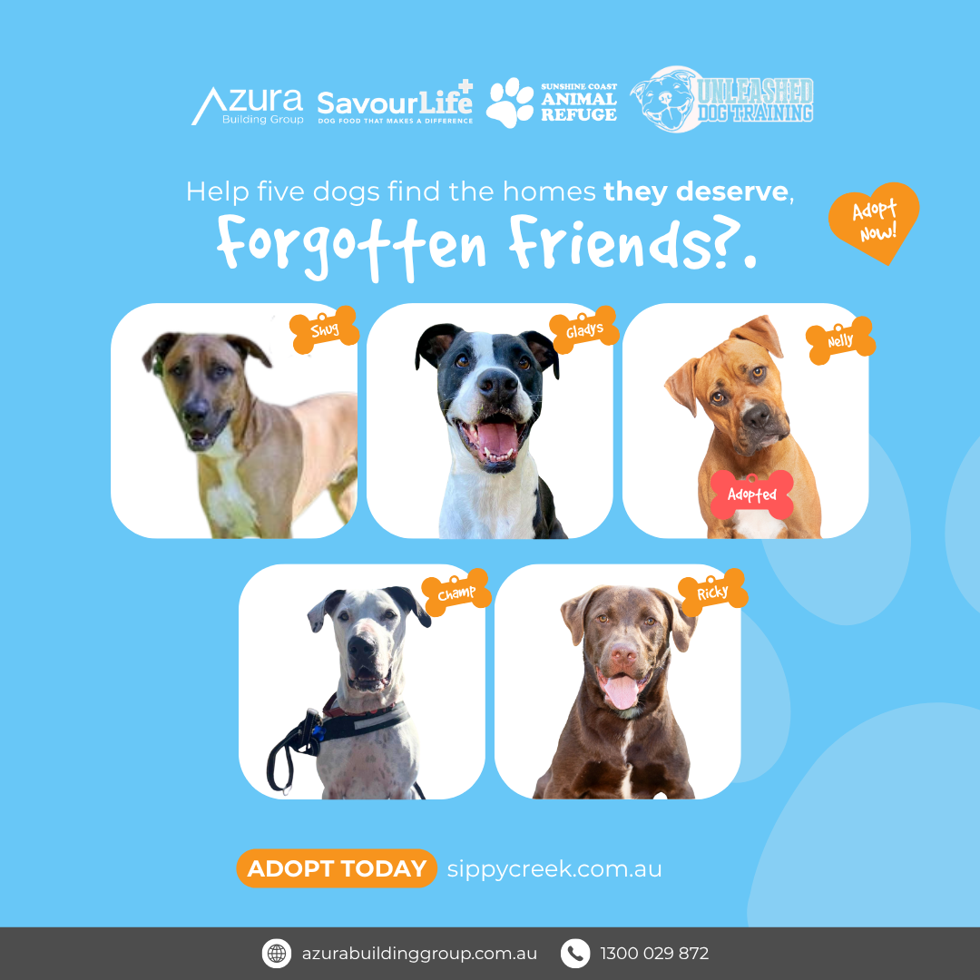 Forgotten Friends Rnd 3