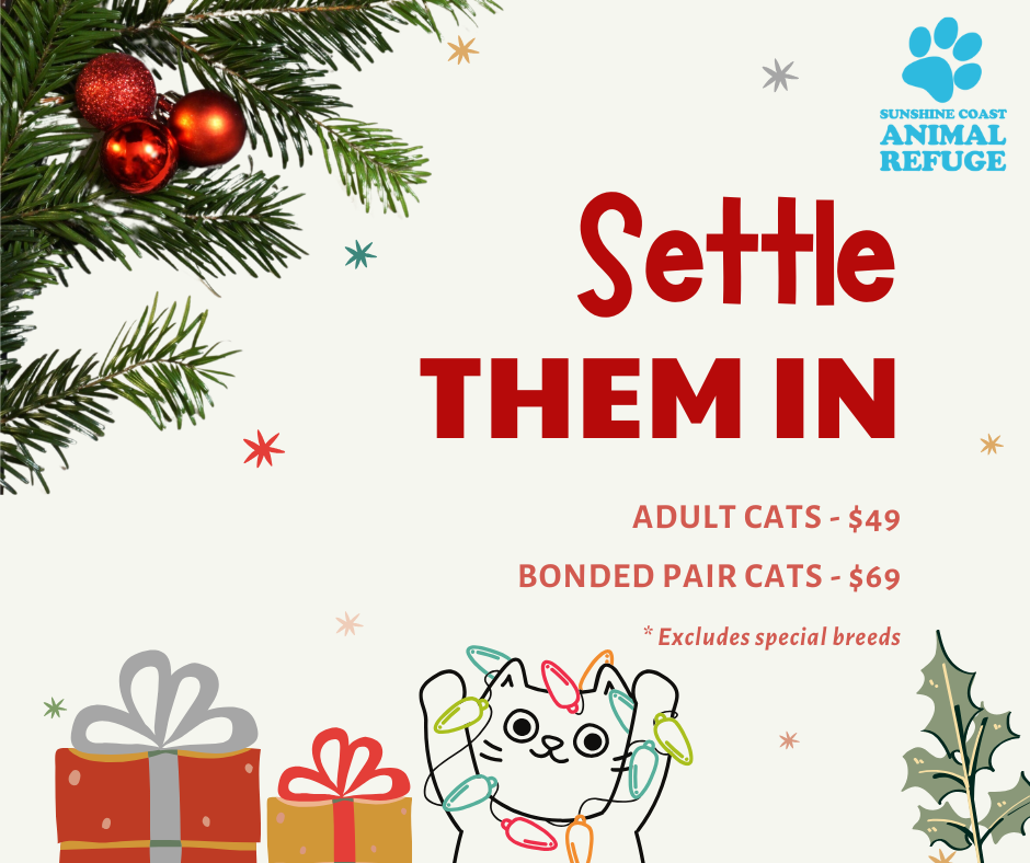 Settle then in this School Holidays