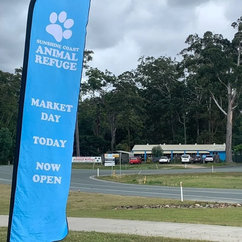 SCARS Market reopens Wednesday 21 January 2026