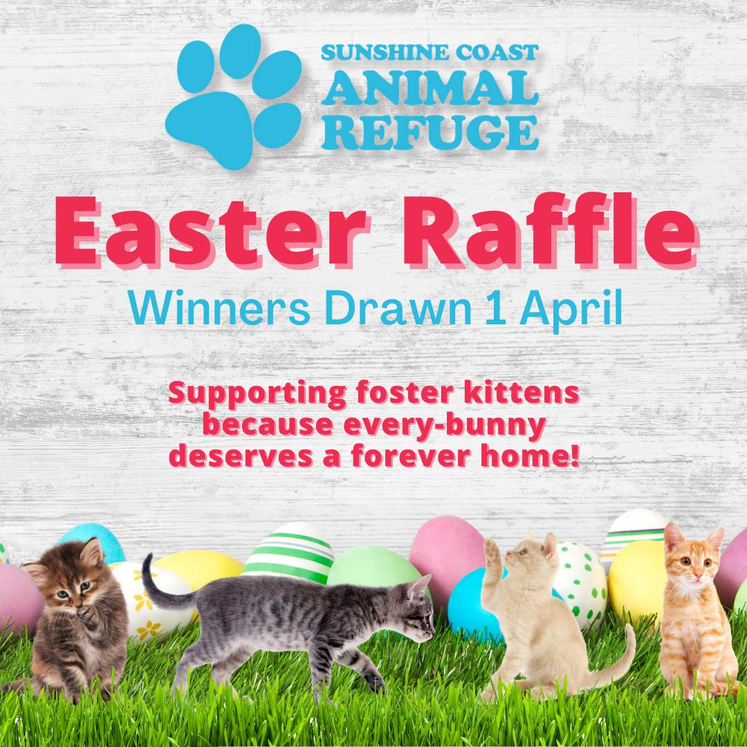 SCARS Annual Easter Raffle Returns