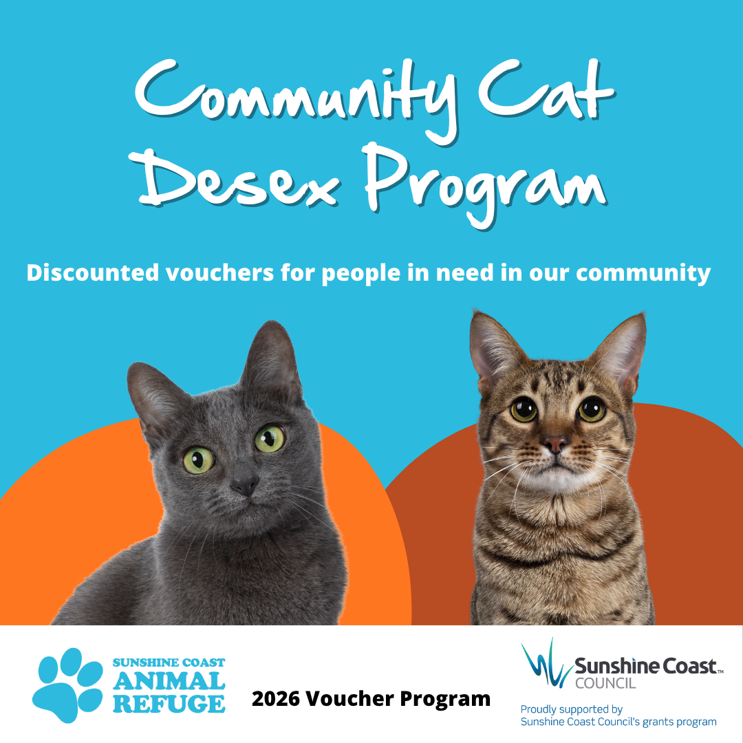 Community Cat Desexing Program