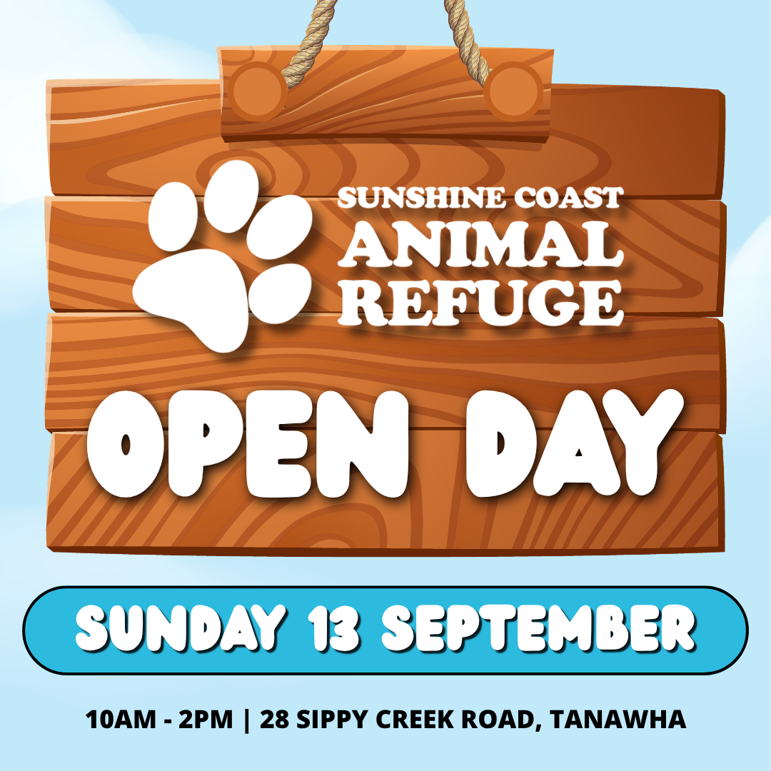 SCARS OPEN DAY
