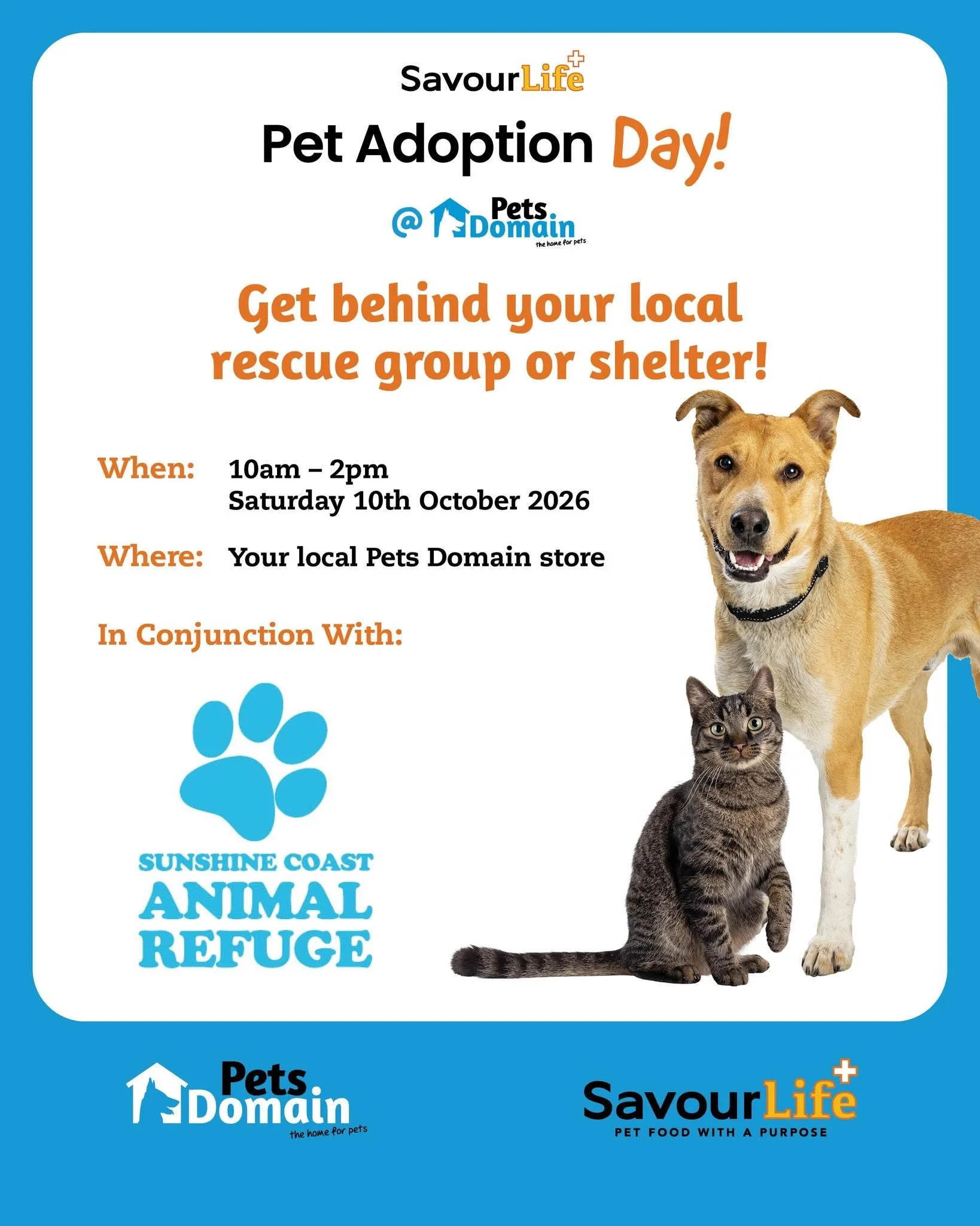 Savourlife’s Adopt-A-Dog Day @ Pets Domain Nambour