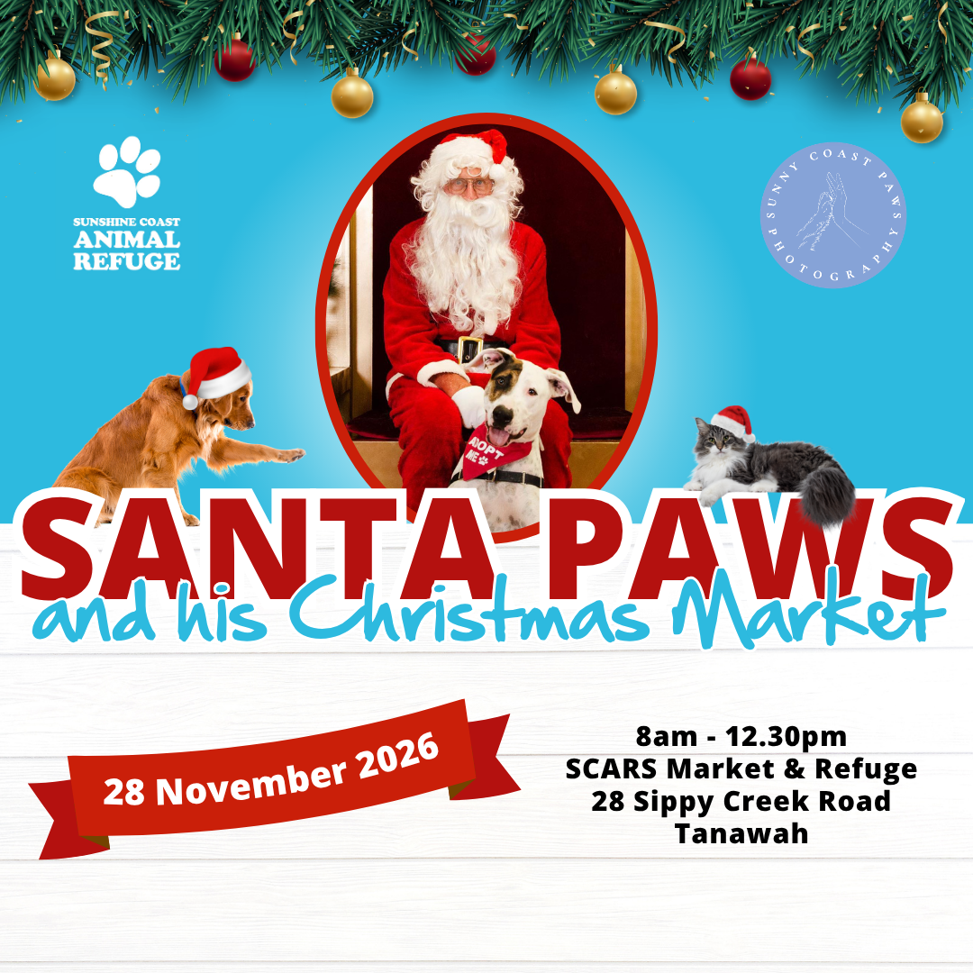 Santa Paws &amp; his Christmas Market 2026