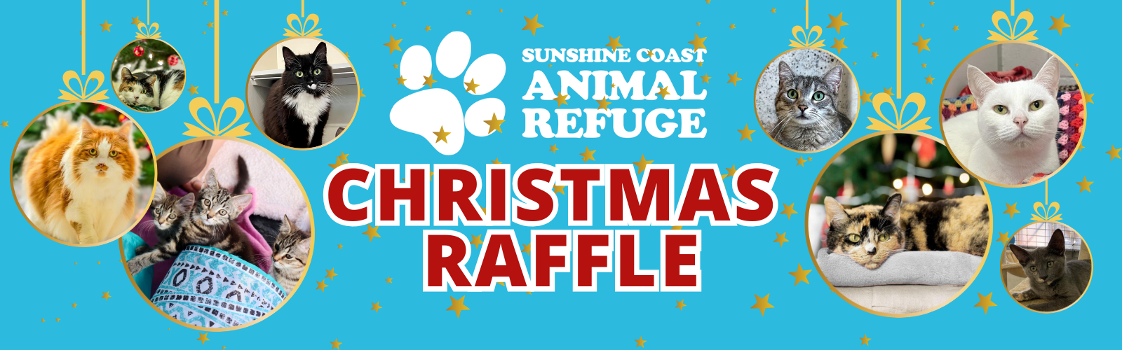 Christmas Raffle Now Open - winners drawn 18 Dec | Sunshine Coast ...