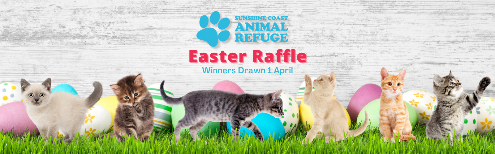 Swan Ranch Raffle SCARS Annual Easter Raffle Returns | Sunshine Coast Animal Refuge