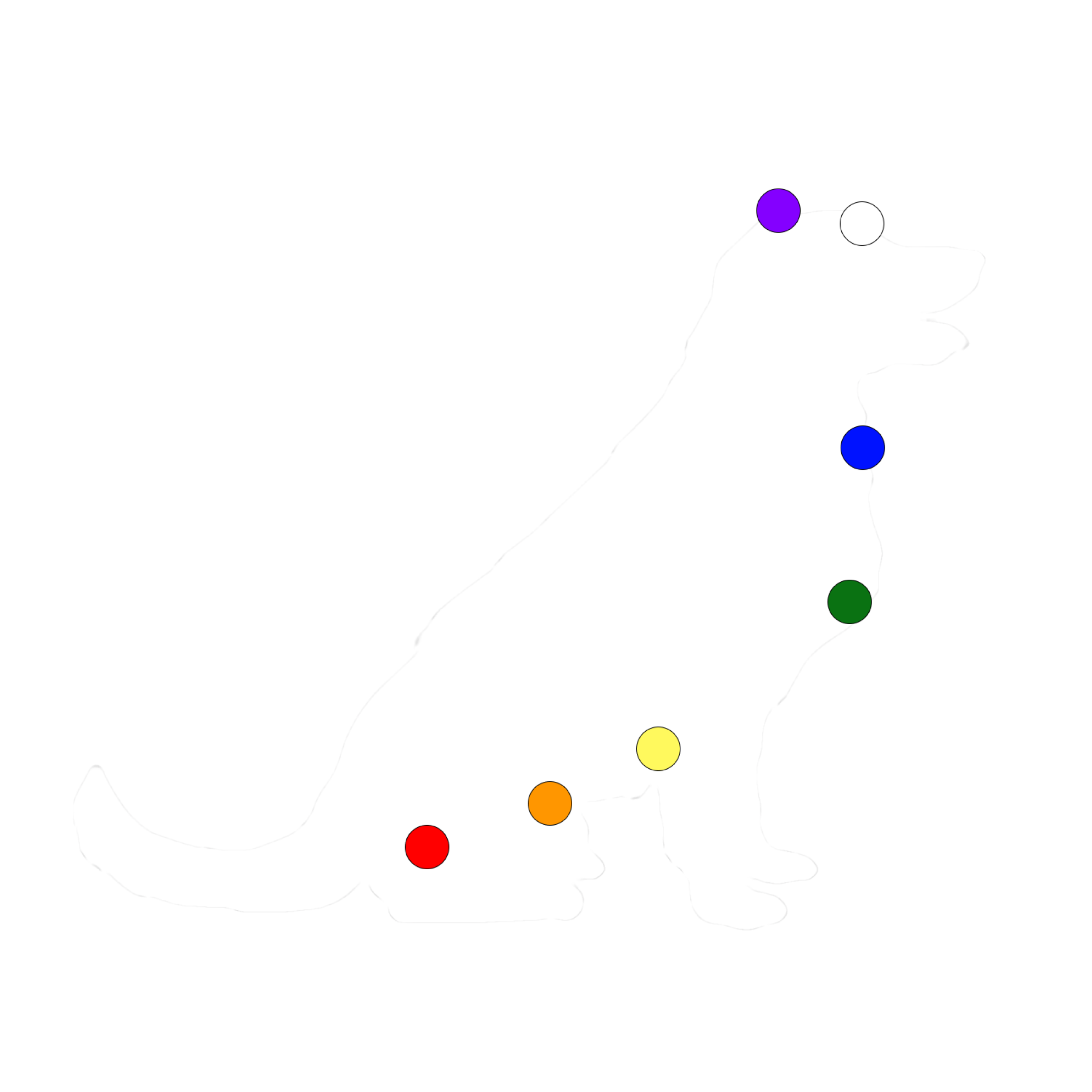 The Canine Chakras starting from the top with the Crown, Third Eye, Throat, Heart, Solar Plexus, Sacral and Root Chakras.