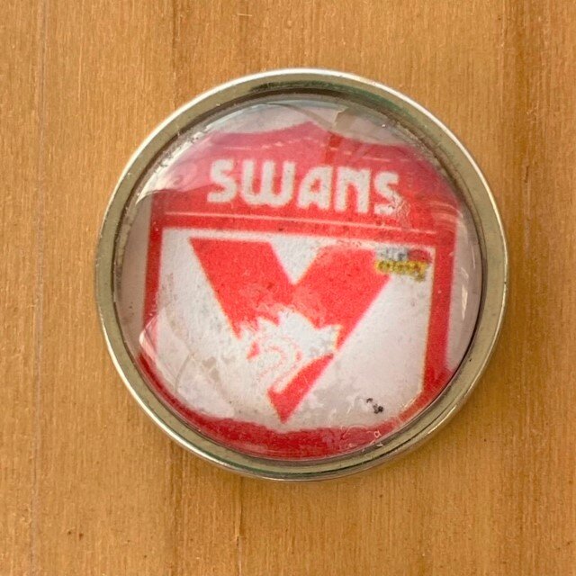 Swans.jpeg