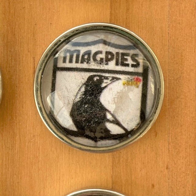 Magpies.jpeg