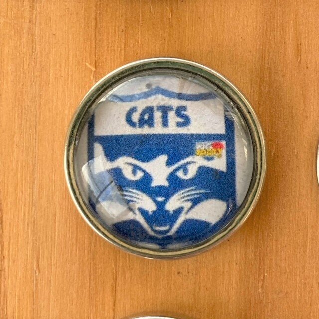 Cats.jpeg