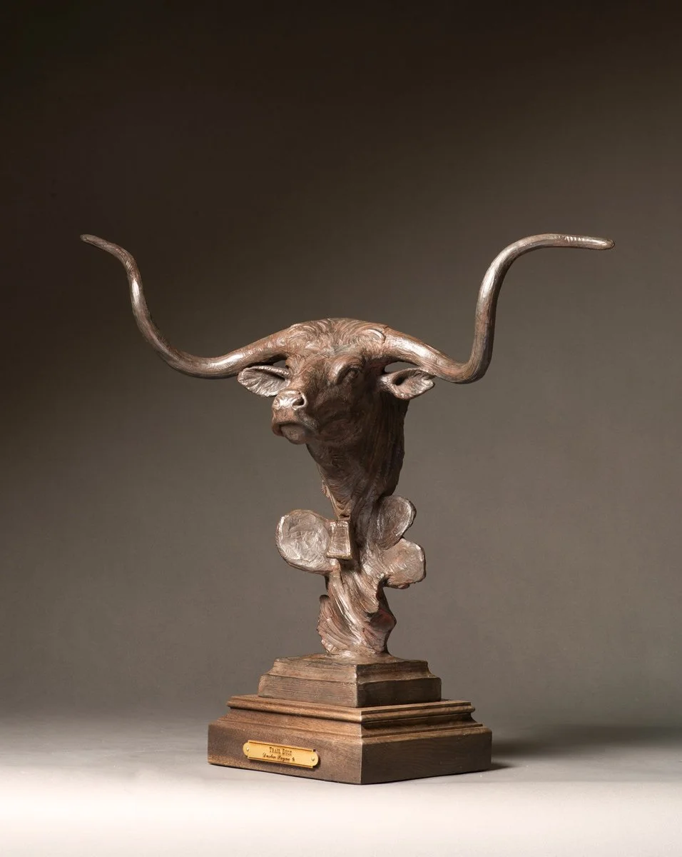 Longhorn Bust in Bronze