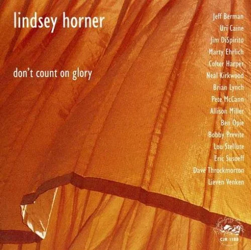 Guitarist, Lindsey Horner, Don't Count on Glory (2005)