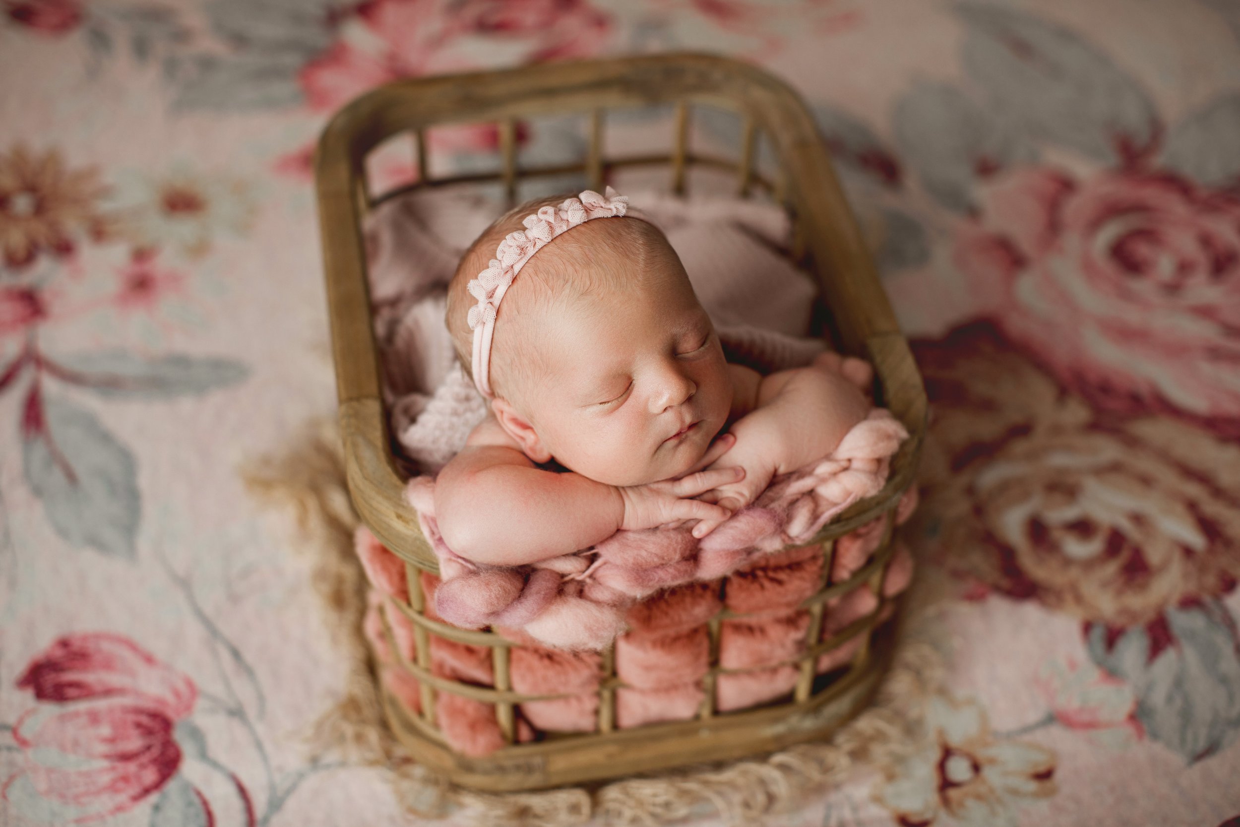 Studio Newborn Photoshoot Sitting Fee