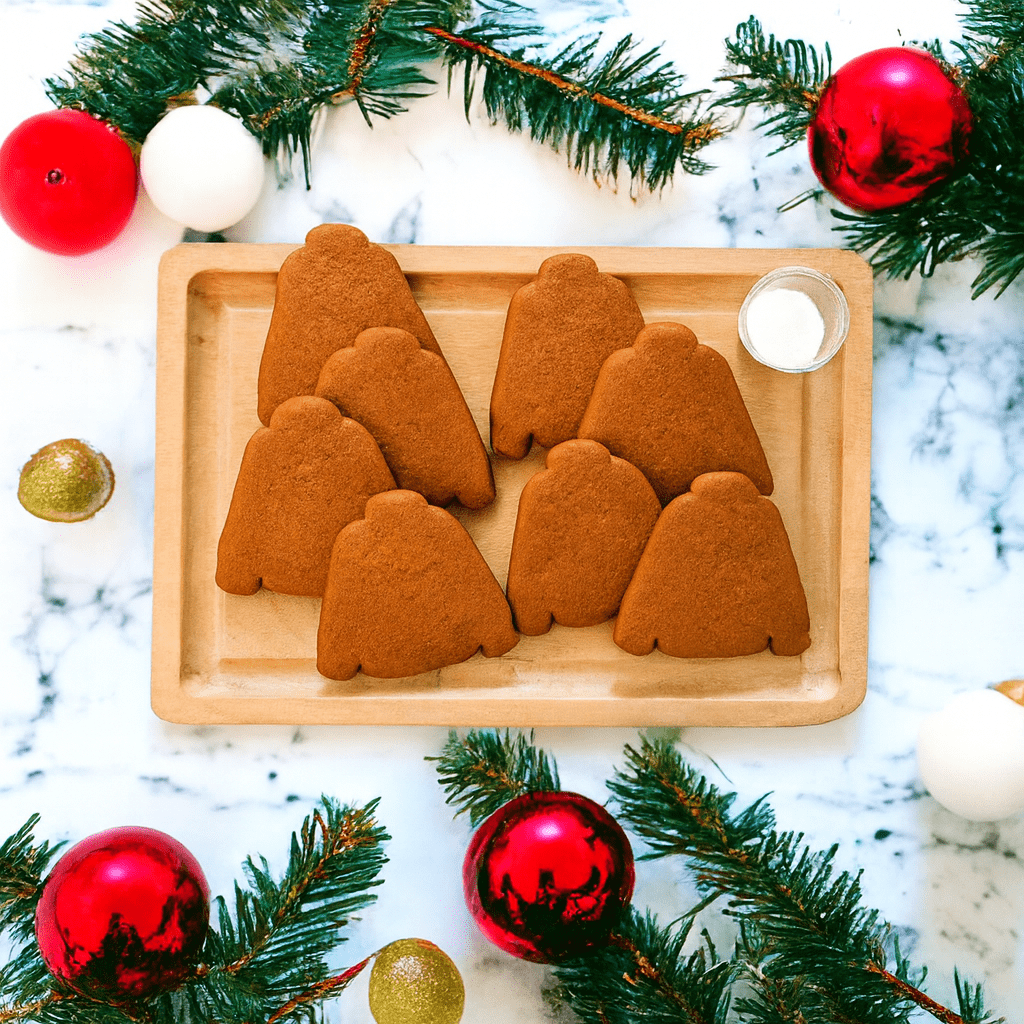 Space Cadet Baking Company - Gingerbread Ugly Sweater DIY Kit-min.png