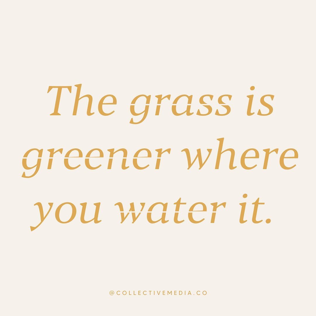 This is our founder @j_nales&lsquo;s favorite motto because it&rsquo;s absolutely the truth. When you give love and attention to something it WILL grow. 🌱
You&rsquo;ll attract EXACTLY what you want in your business once you get into alignment with y