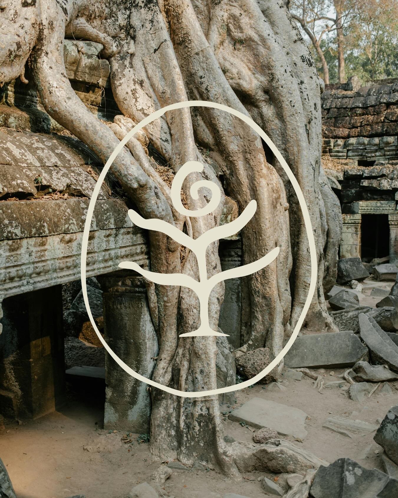 At the center of the new branding is our icon; a hand-drawn, abstract tree to symbolize organic growth, groundedness, and evolution. 

At its top center is a subtle fibonacci spiral - a nod to the divine patterns found in nature, symbolizing harmony,