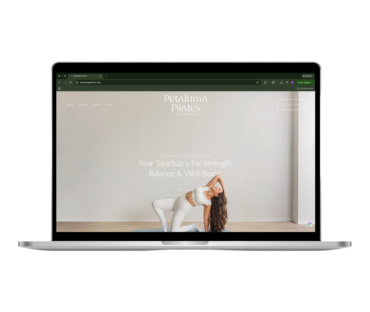 Website Design | Petaluma Pilates