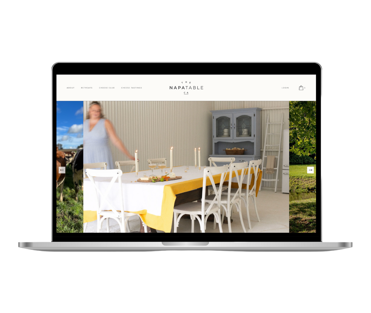 Website Design Services In Sonoma & Napa