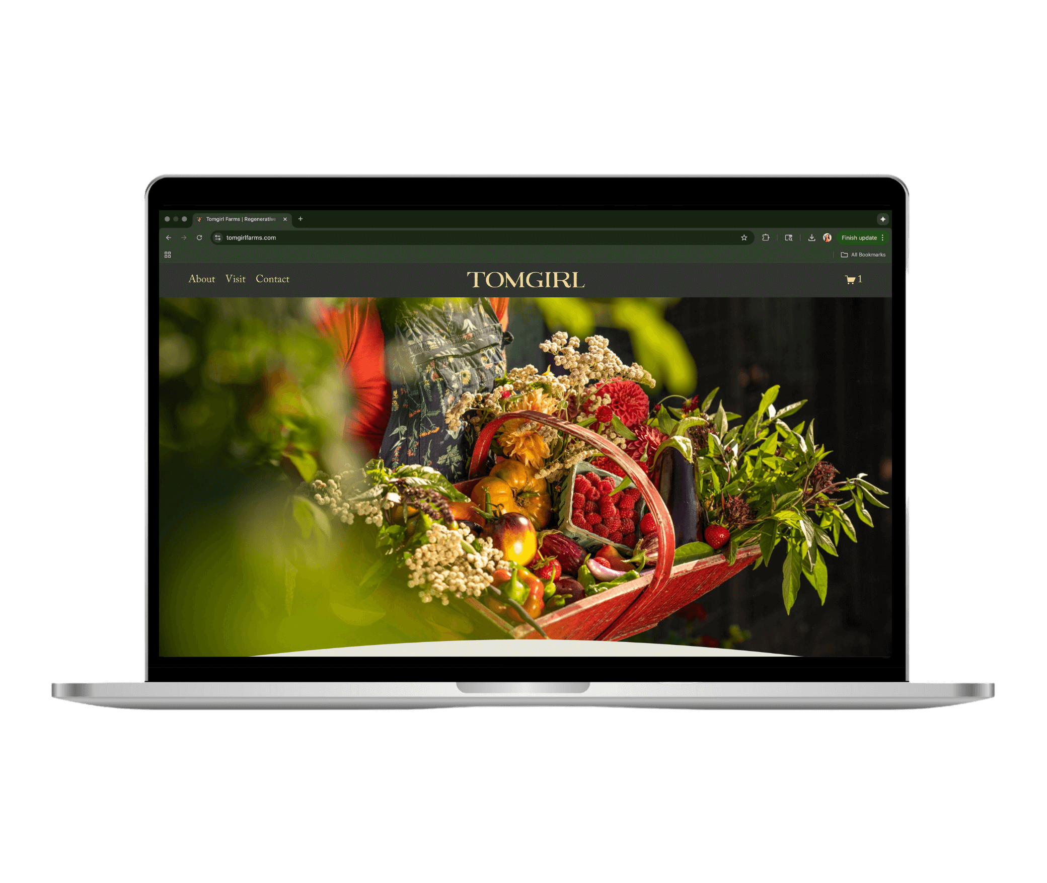 Life by design studio projects (3) (1).png