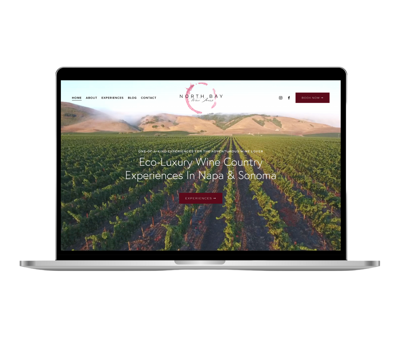 Website Design for Wine Tour Companies
