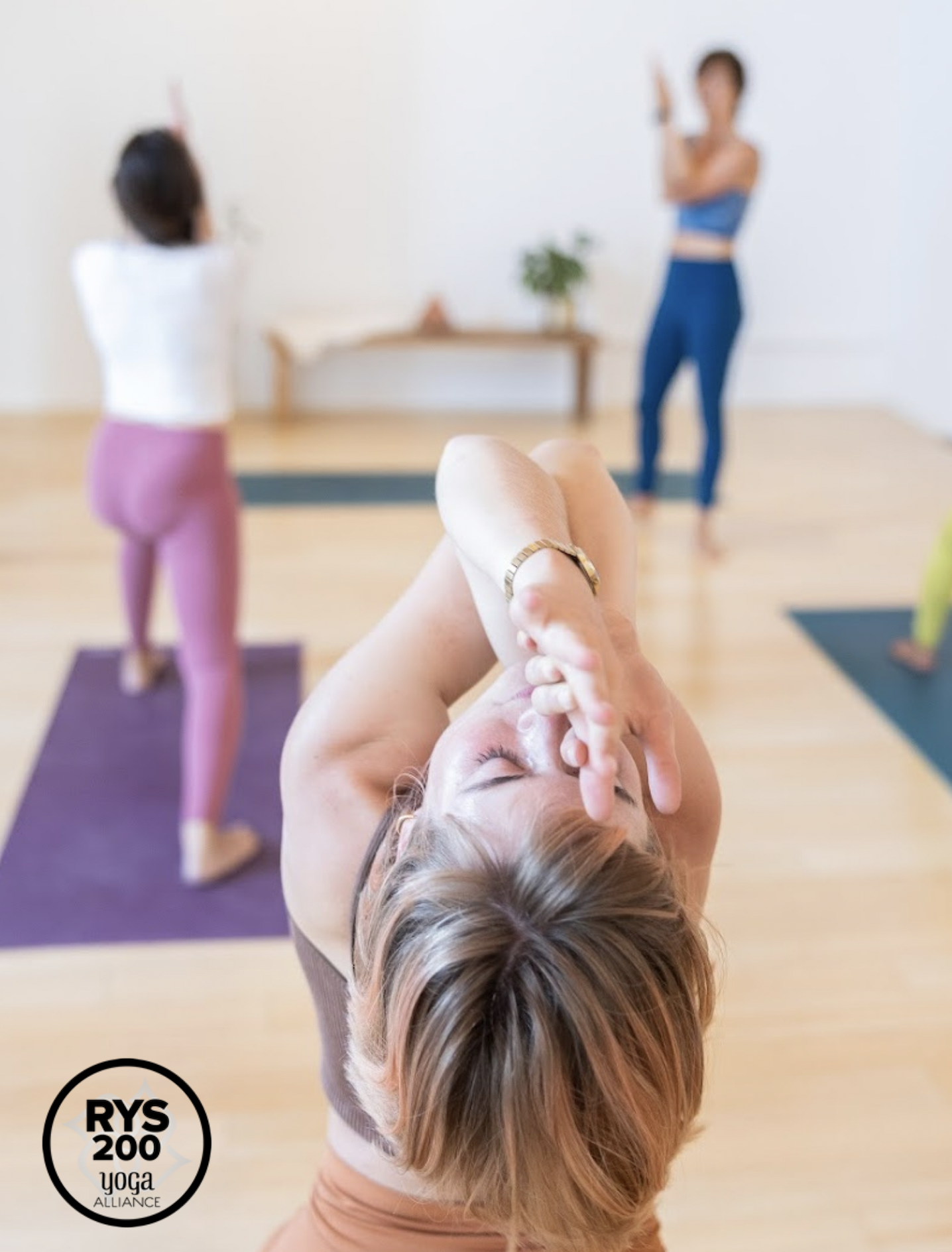 200-Hour Yoga Teacher Training — Sol Seek Yoga Studio - Santa Barbara and  Manhattan Beach