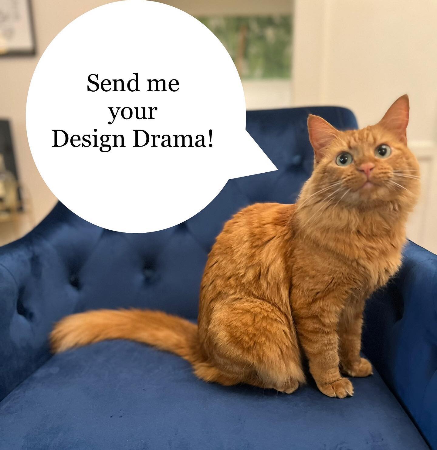 OPEN CALL 4 DESIGN DRAMA ⭐️

We&rsquo;re doing another round of Design Drama!

🔸Are you being terrorized by a blank wall?
🔸Is there a piece of furniture you emotionally can&rsquo;t part with but hate the look of? 
🔸Are you out of inspiration for t