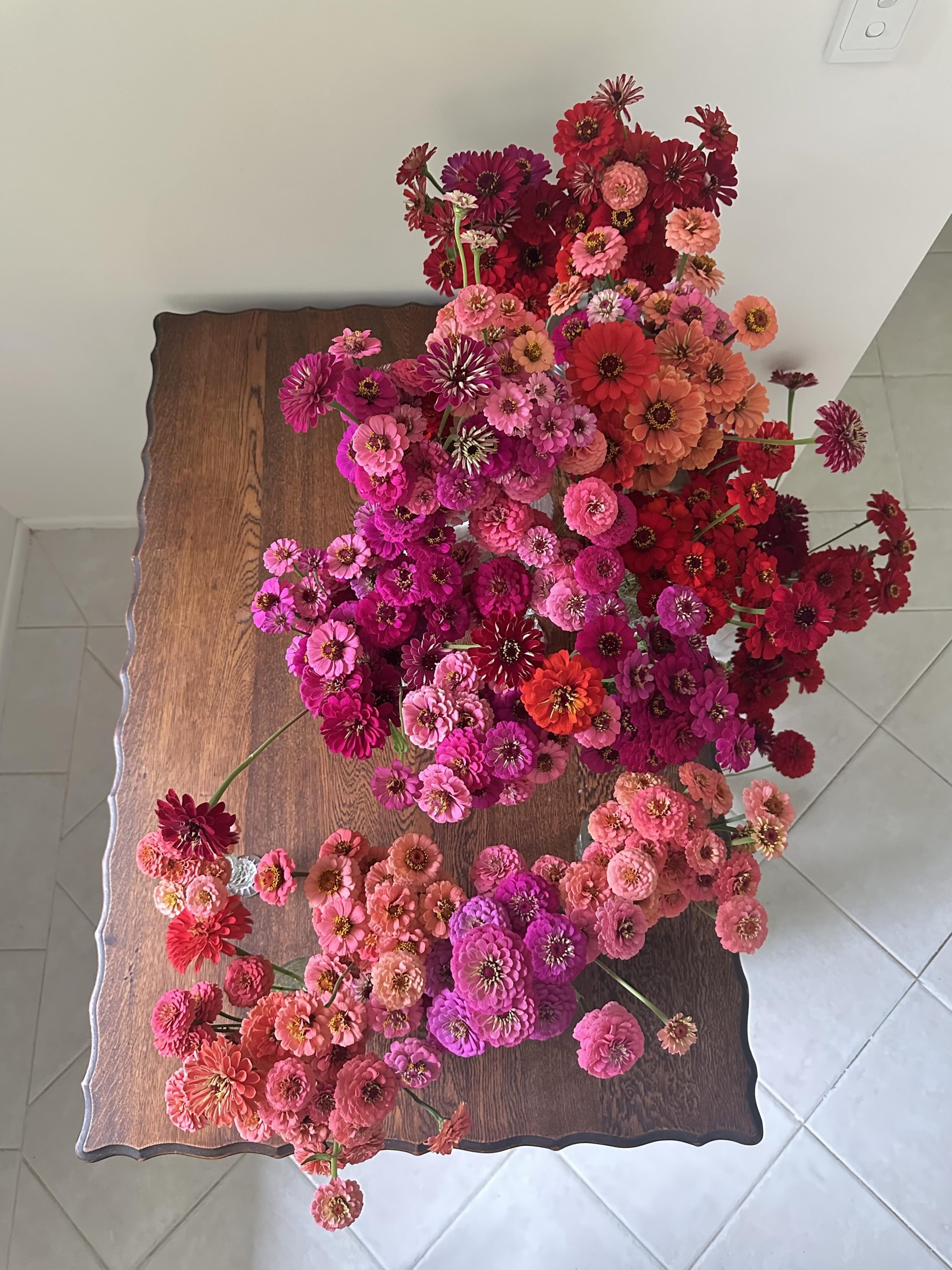 one-week-of-flowers-from-the-garden.jpg