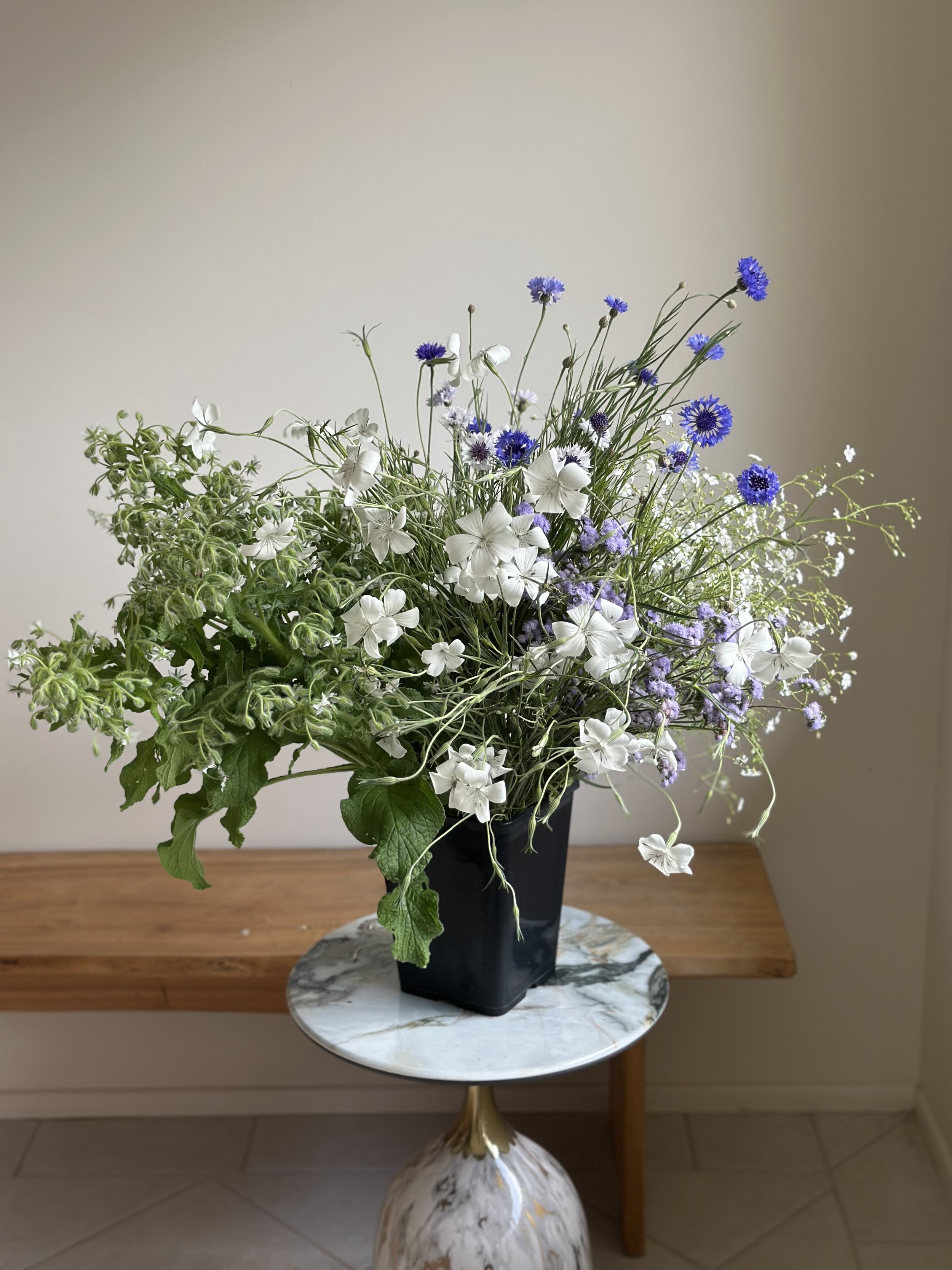 blue_white_curatedbucket-licencetobloom04.jpeg