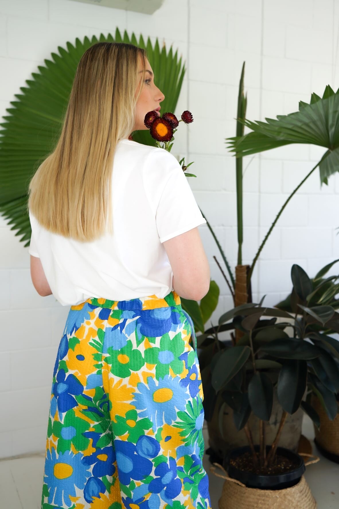 ange-pant-kim-t-back.jpg