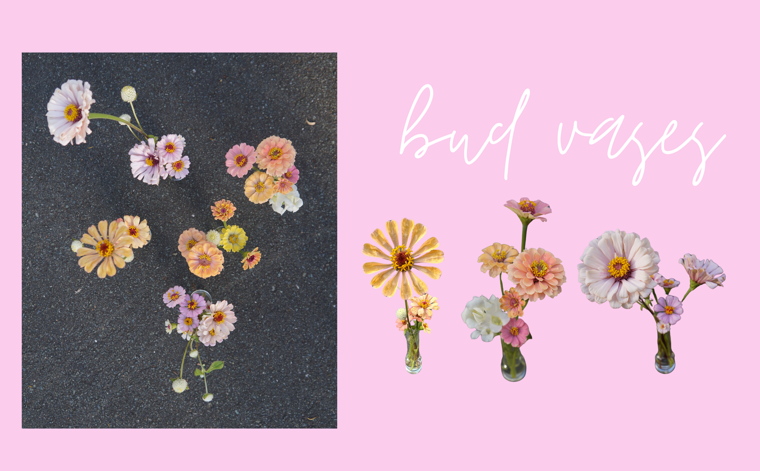bud-vases.png