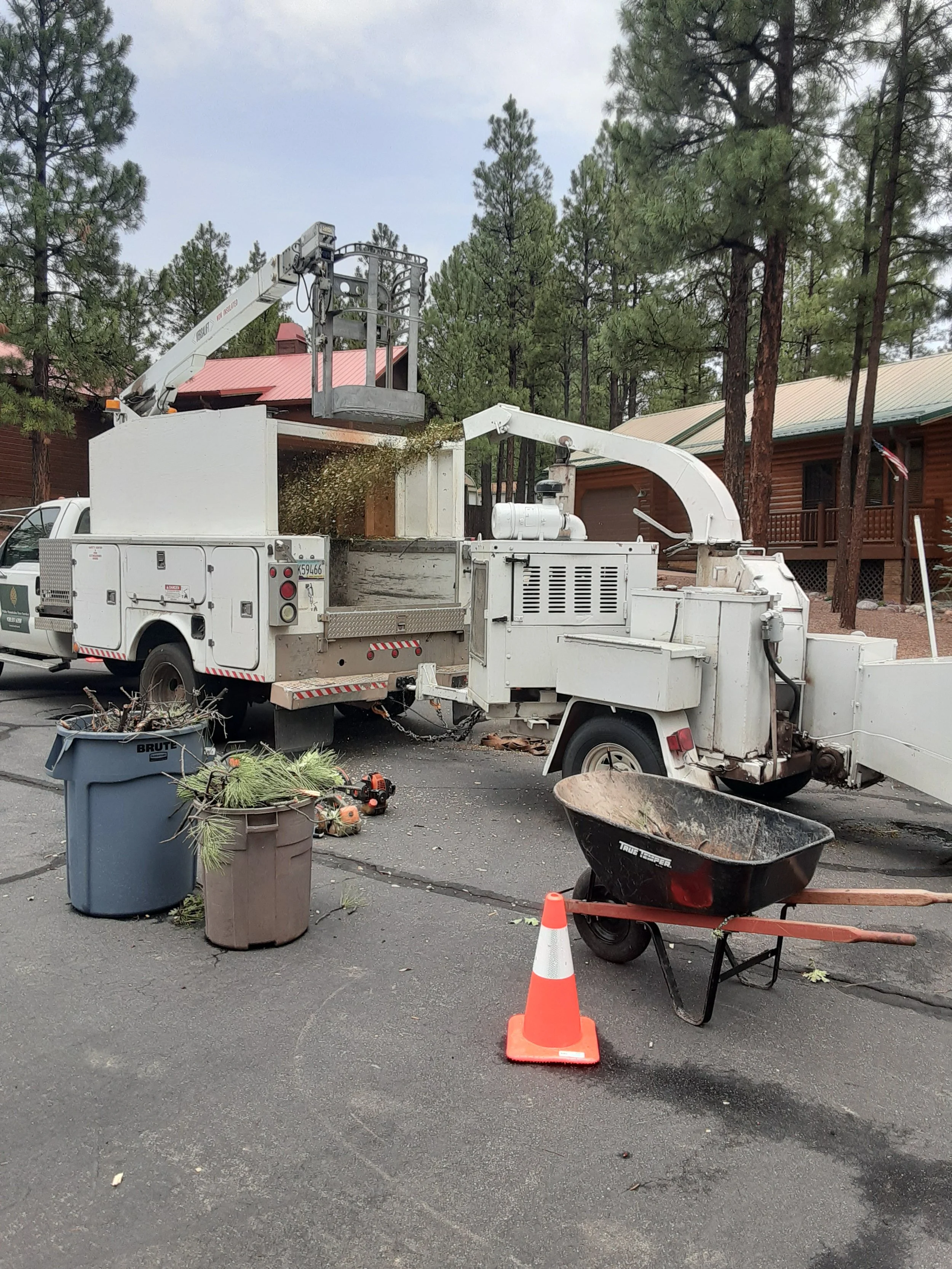 Tree Services — White Mountains Tree Service