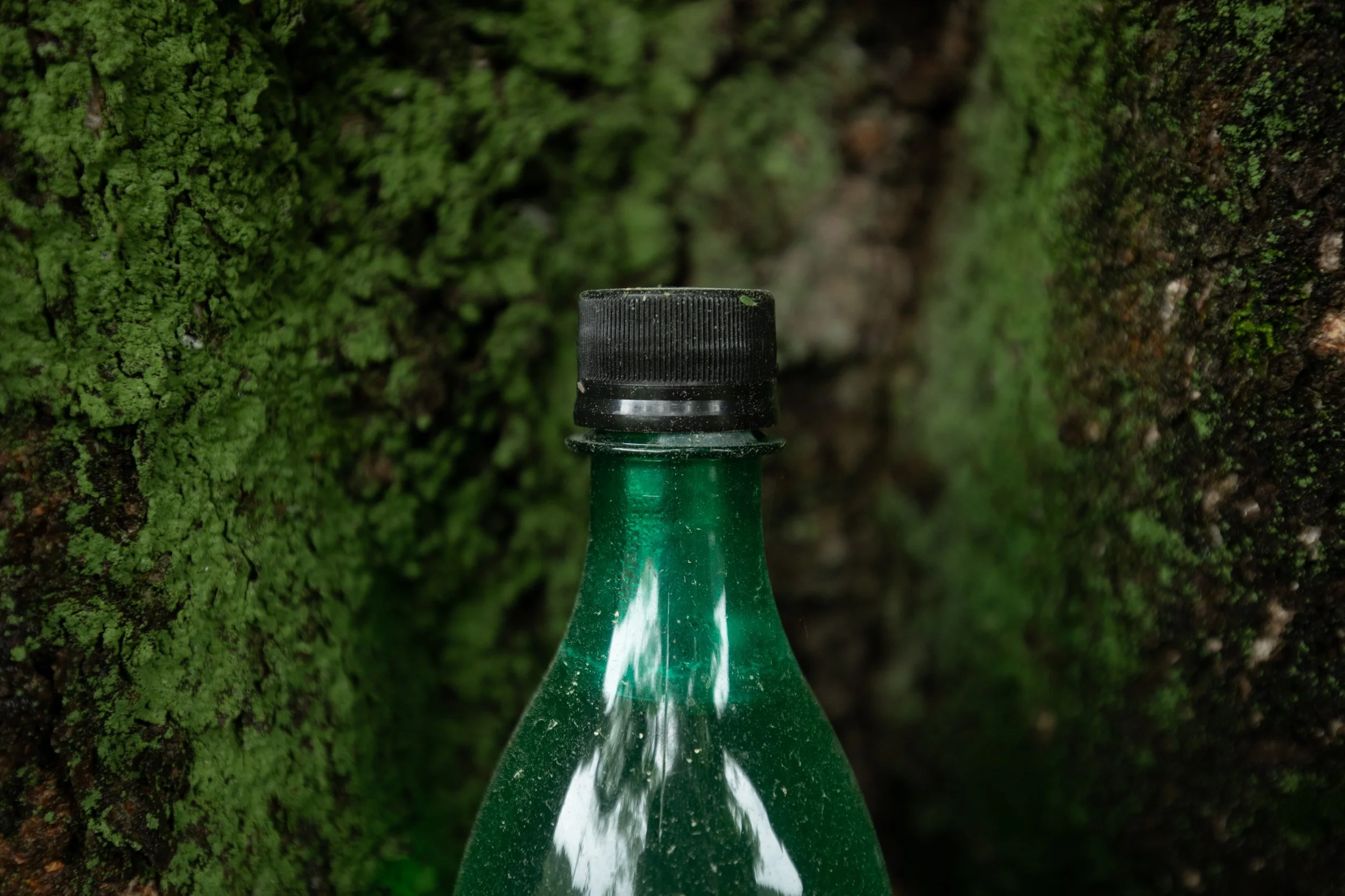 A bottle of fermented rice wine called Makgeolli 막걸리 is left as a ritual offering in front of a sacred village tree in Sangjuk-ri 상죽리, South Korea.