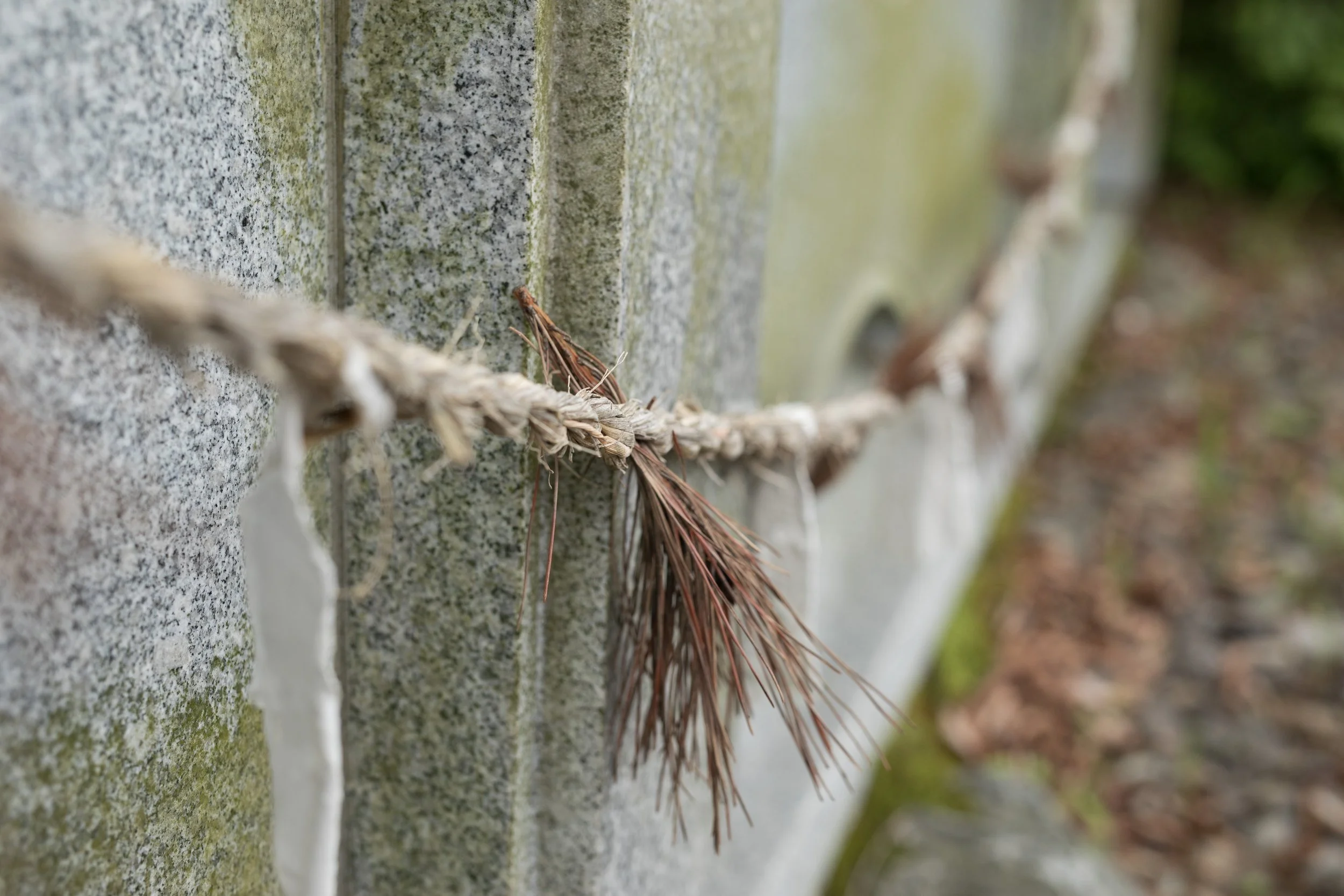 A golden left-tied rope known as Geumjul (금줄) threaded with white mulberry paper and pine needles for protection and prosperity is tied to an altar at the entrance to Bonghwa-ri, South Korea.