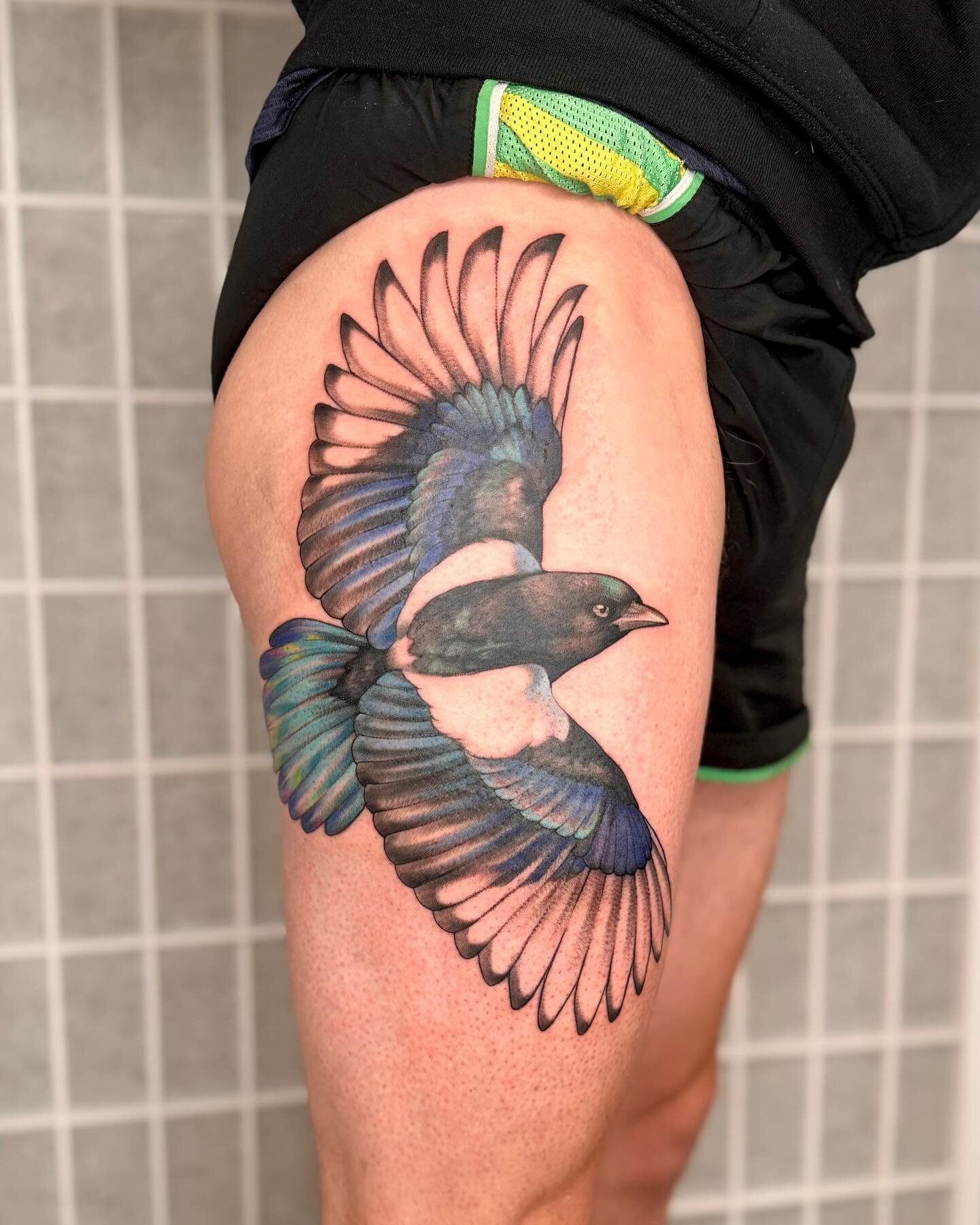 The Magpie an Omen of Luck 🍀🐦&zwj;⬛
Wishing everyone extra luck and love to start off the New Year! Thank you Nialls for your trust during this project! What an honor to help you start your bird leg! You sat like a champ and were great company. So 