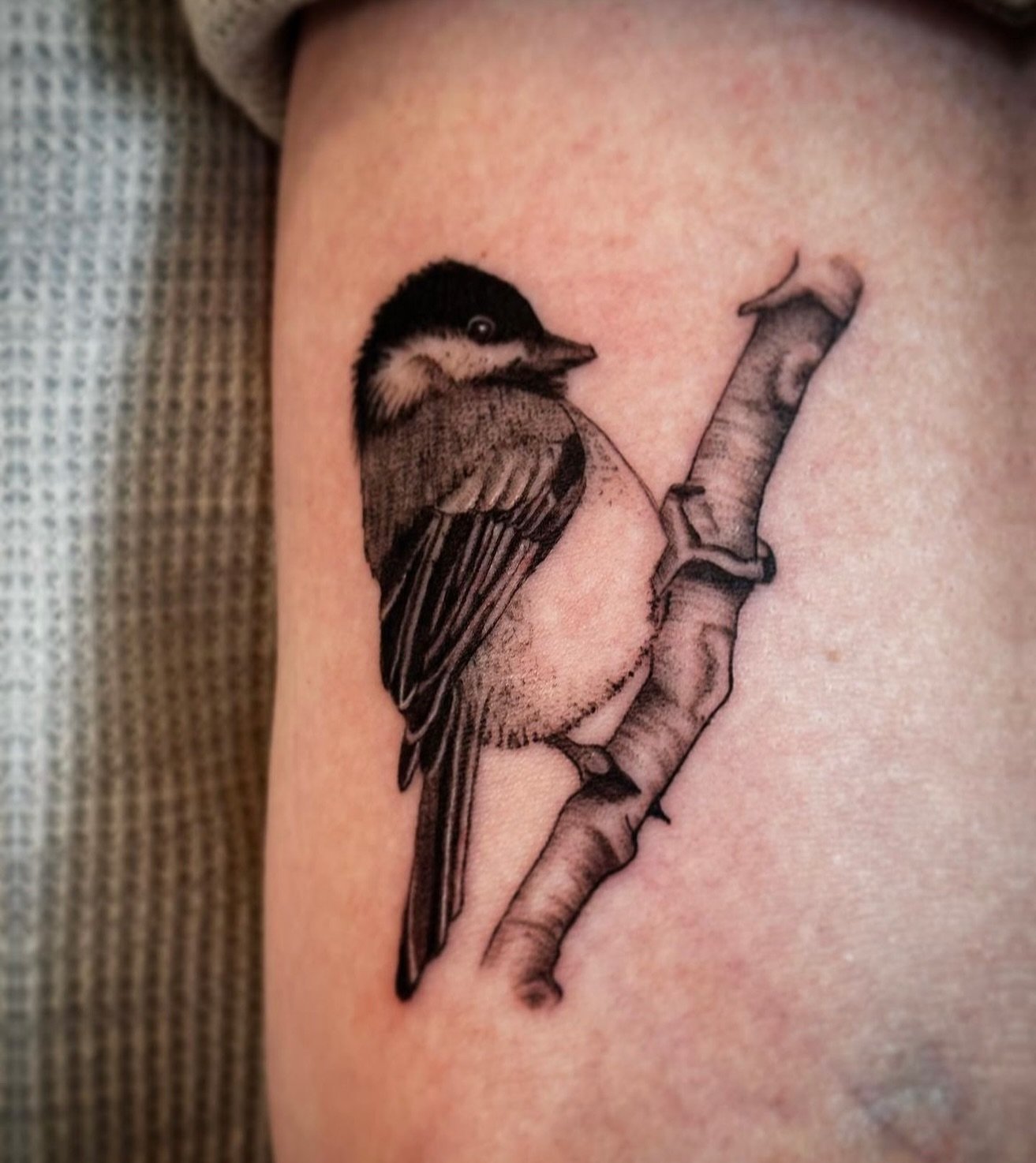 How cute is this little chickadee for a walk in day! By tattoo artist Sarah @saraitattoo 

And just in time to welcome Spring! Sarah will be tattooing at our Flash Event &amp; Fundraiser this Saturday April 20th and she also takes walk in&rsquo;s eve