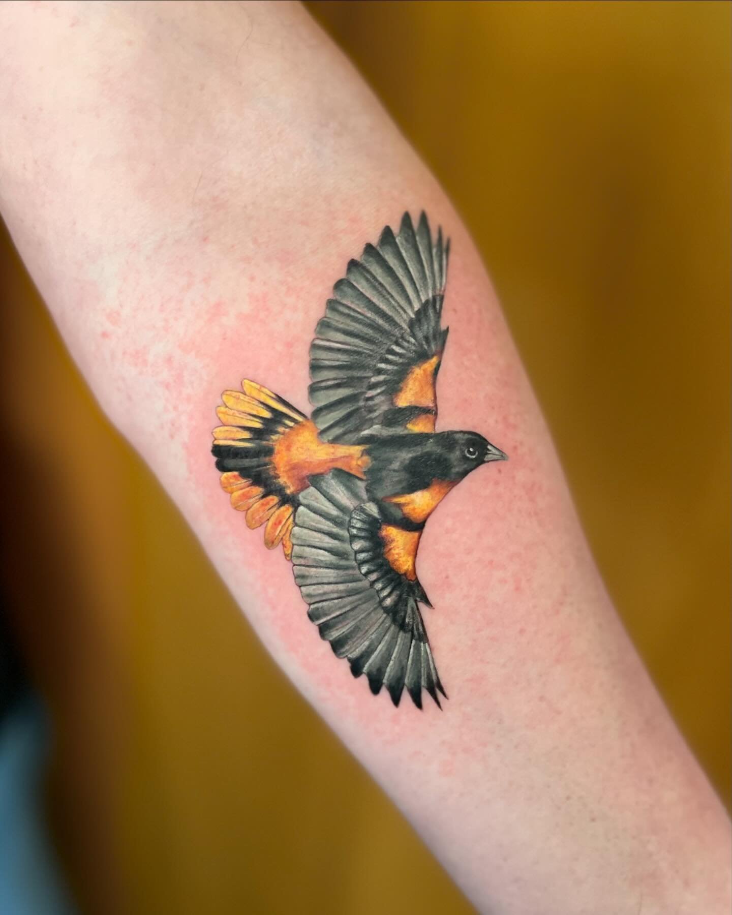 oriole for paul&rsquo;s first tattoo!