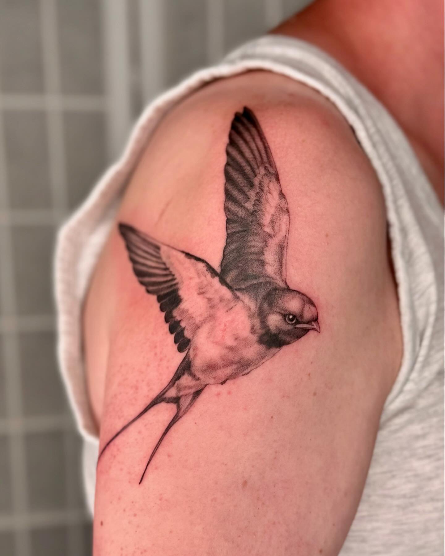 A swallow for Ed 🕊️
Thank you for the trust and allowing me to take my time to create this sweet lil bird for you. May it guide you safely on your many travels 💗🙂&zwj;↕️

#pdxtattoo #portlandtattoo #swallowtattoo #swallow #blackandgreytattoo #tatt