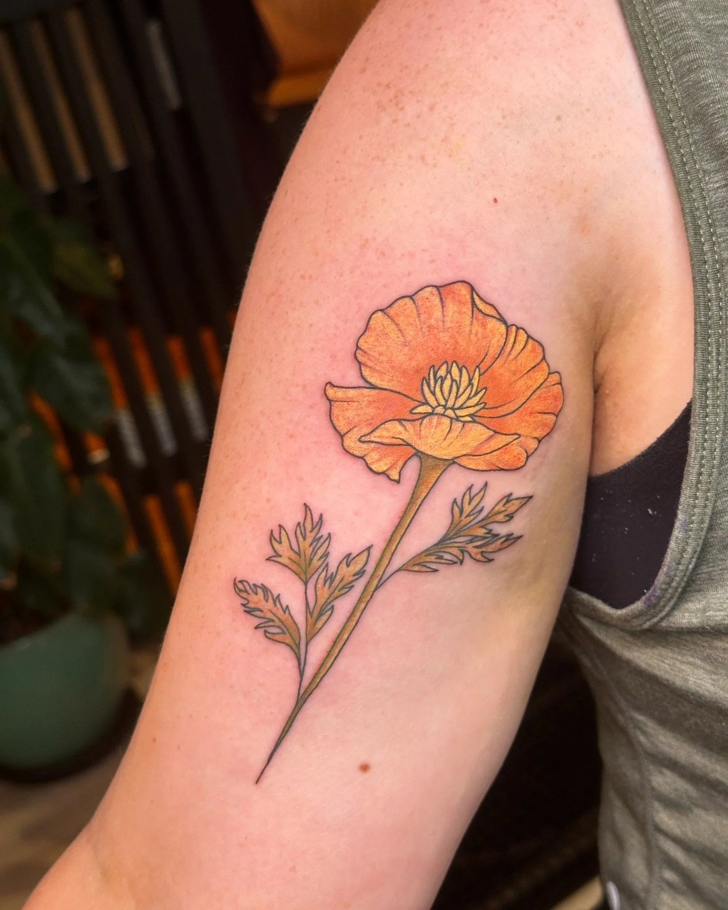 a California Poppy ✨🌞✨
─── ⋆ •✧• ⋆ ───
#tattooartist #tattoos #illustrativetattoos #portlandtattooartist #portlandtattoo