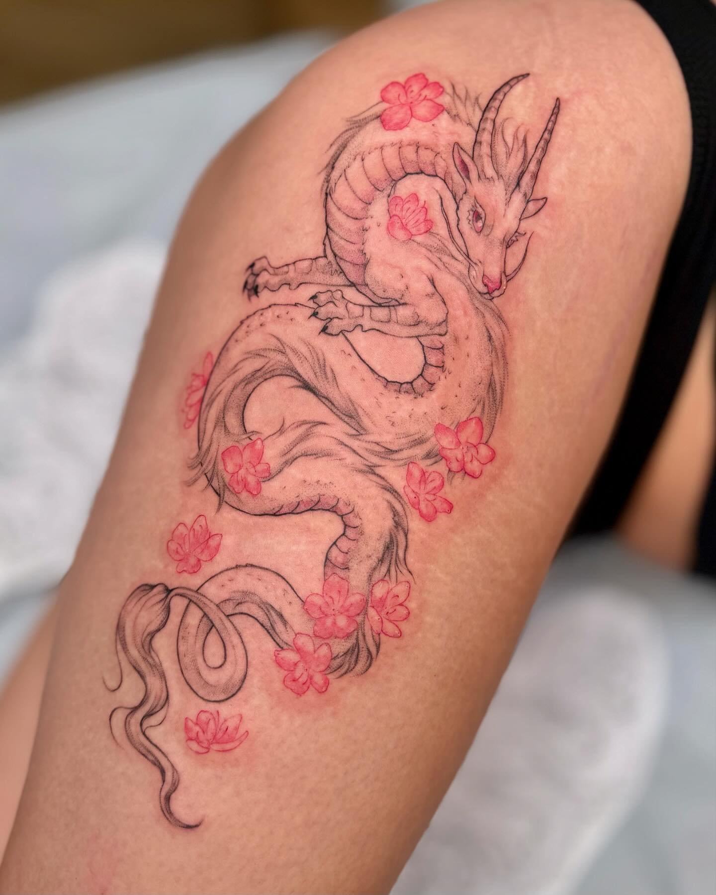 Cherry🍒blossom🌸dragon🦎

for Sophie, tysm for your trust in my creativity during this project 🥰 so happy with how this lil baby came out💗🌸🐲🐉 stoked!

#pdxtattoo #portlandtattoo #dragontattoo #cherryblossom #cherryblossomdragontattoo #tattoo #h