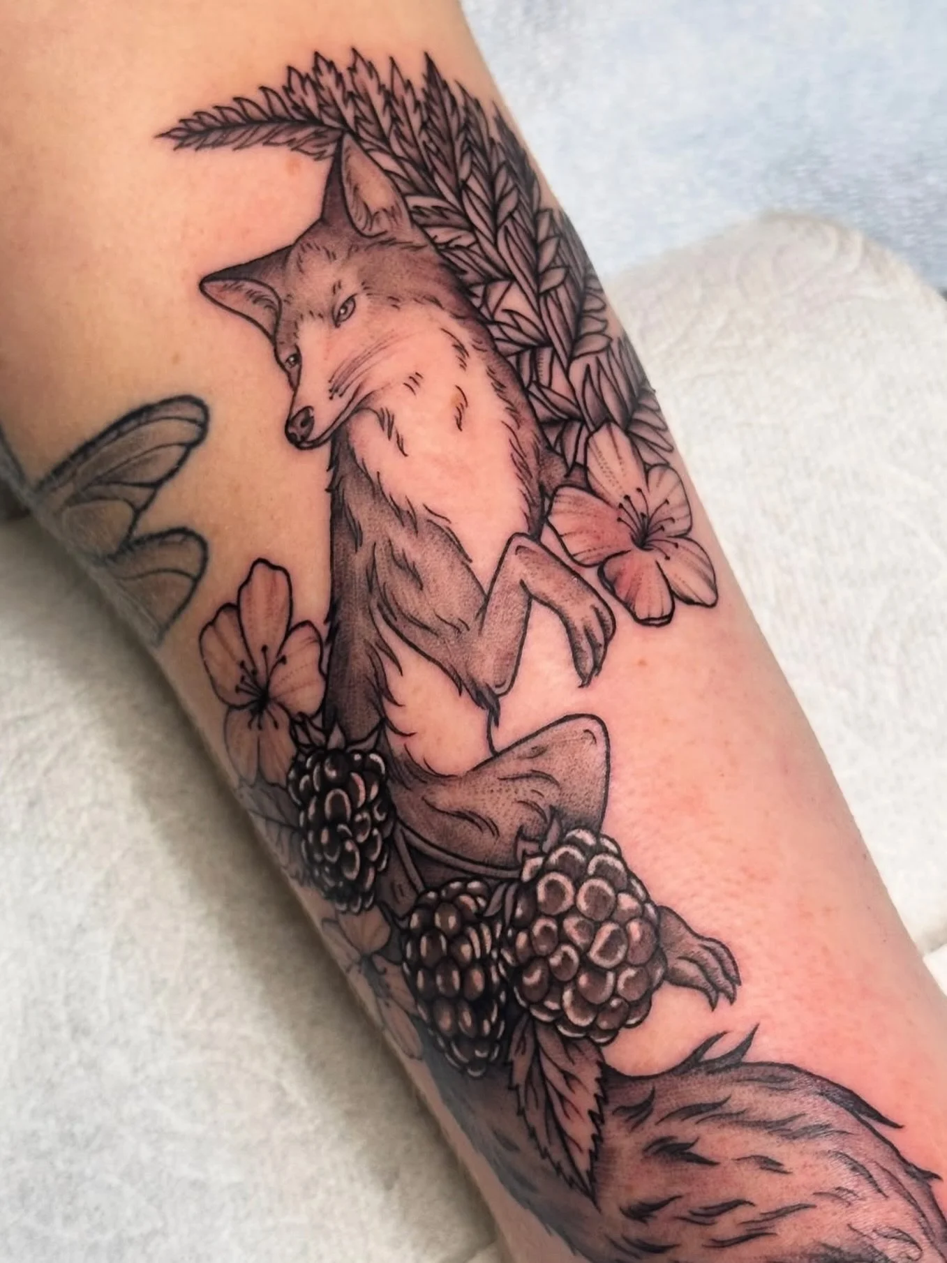 Fox with ferns and blackberries by Sierra @witchinghourink 

#pdxtattoo #pdxtattooartist #foxtattoo