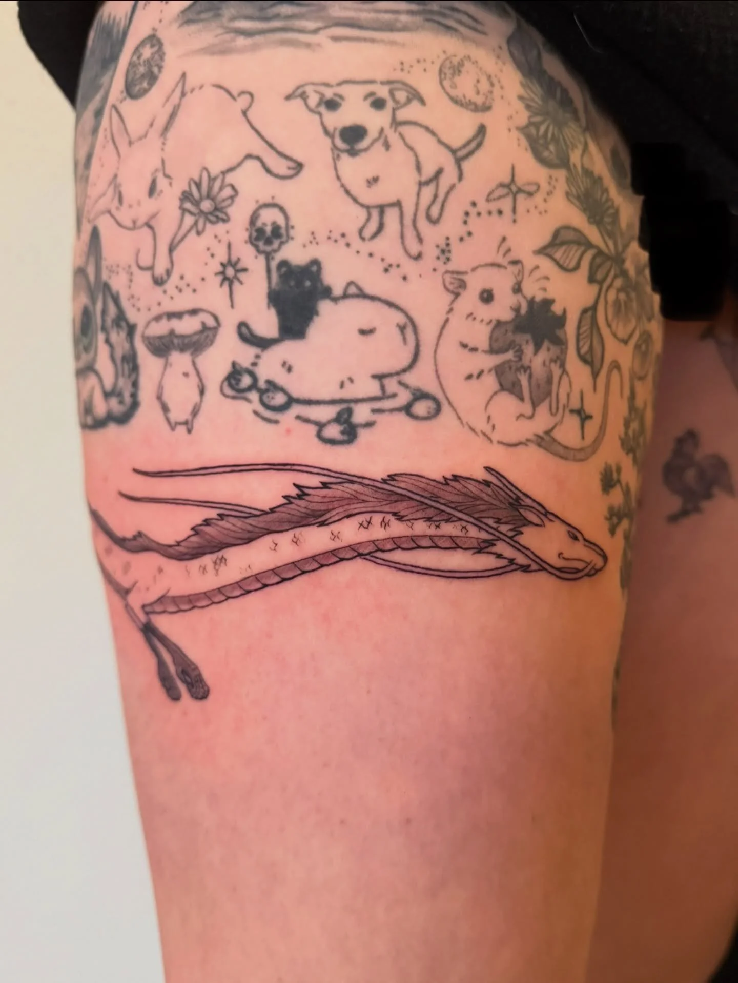 Haku around Alice&rsquo;s leg and white rabbit candies. Other visible leg tattoos not made by me.
#hakutattoo #spiritedaway #ghiblitattoo #portlandtattoo