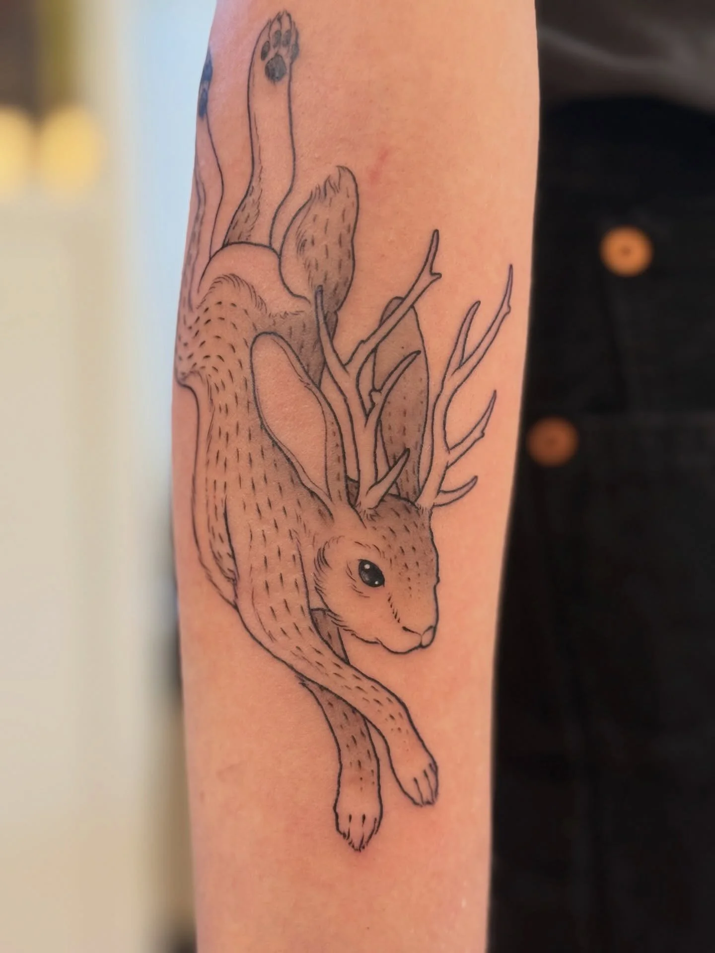 A jackalope for Bella. 
#jackalopetattoo #portlandtattoo #lineworktattoos