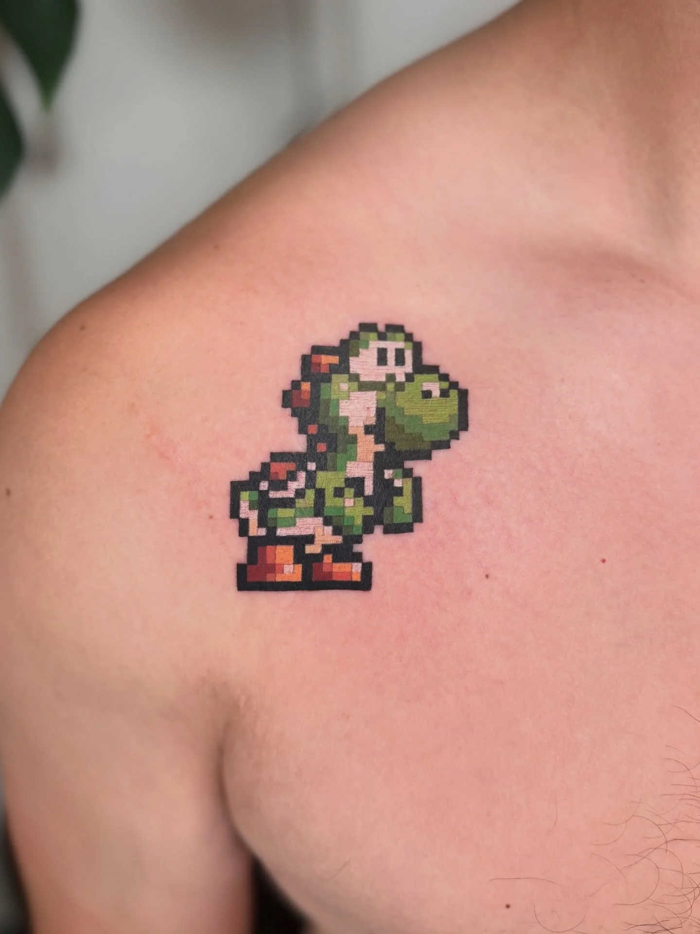 Yoshi for Evan
#8bittattoo #pixeltattoo #yoshi #supermario #videogametattoo
