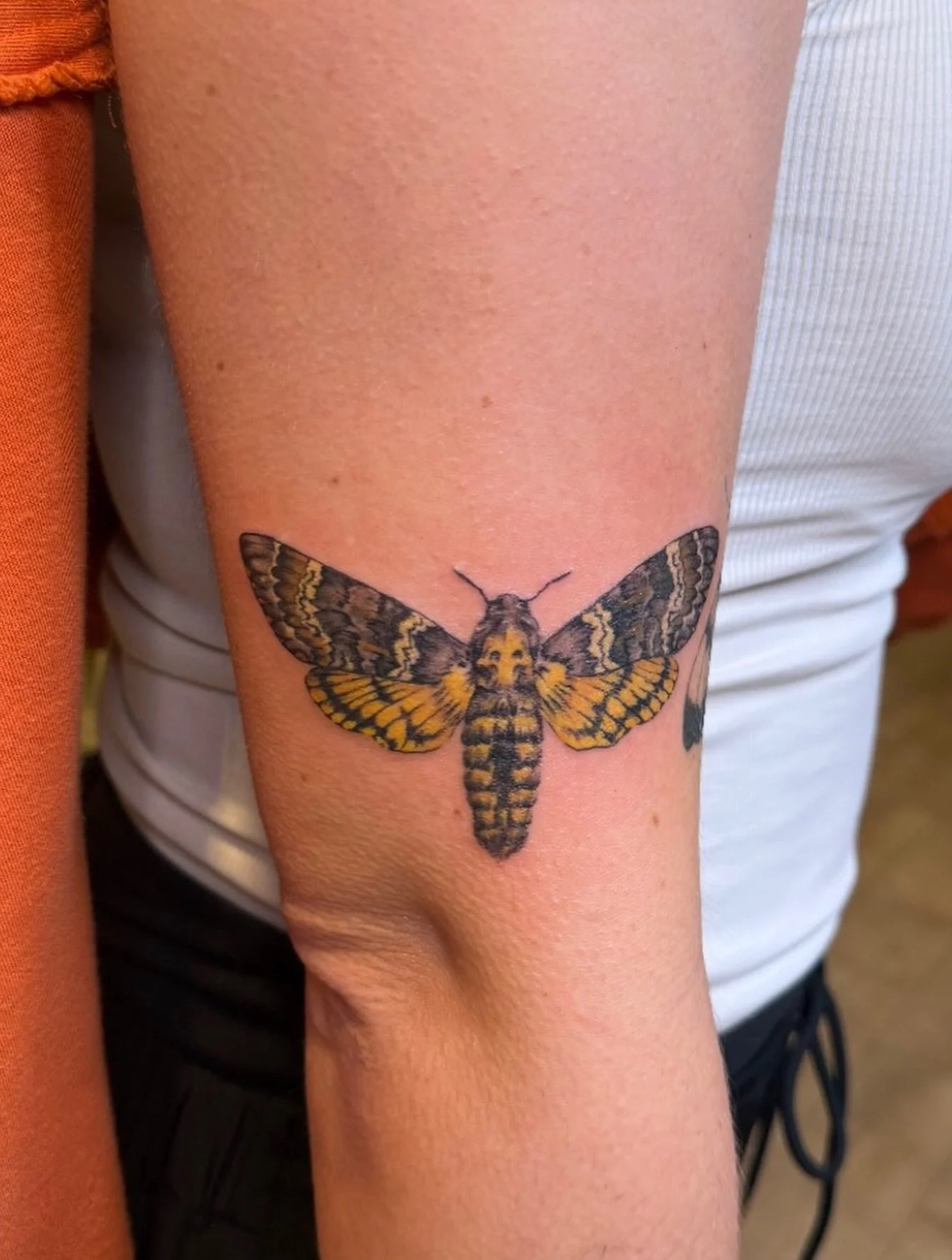 This death moth has all of our hearts! Made by Sham @night.gem.tattoo head over to her page to see a video of this 👀 

#walkintattoo #africandeathmoth