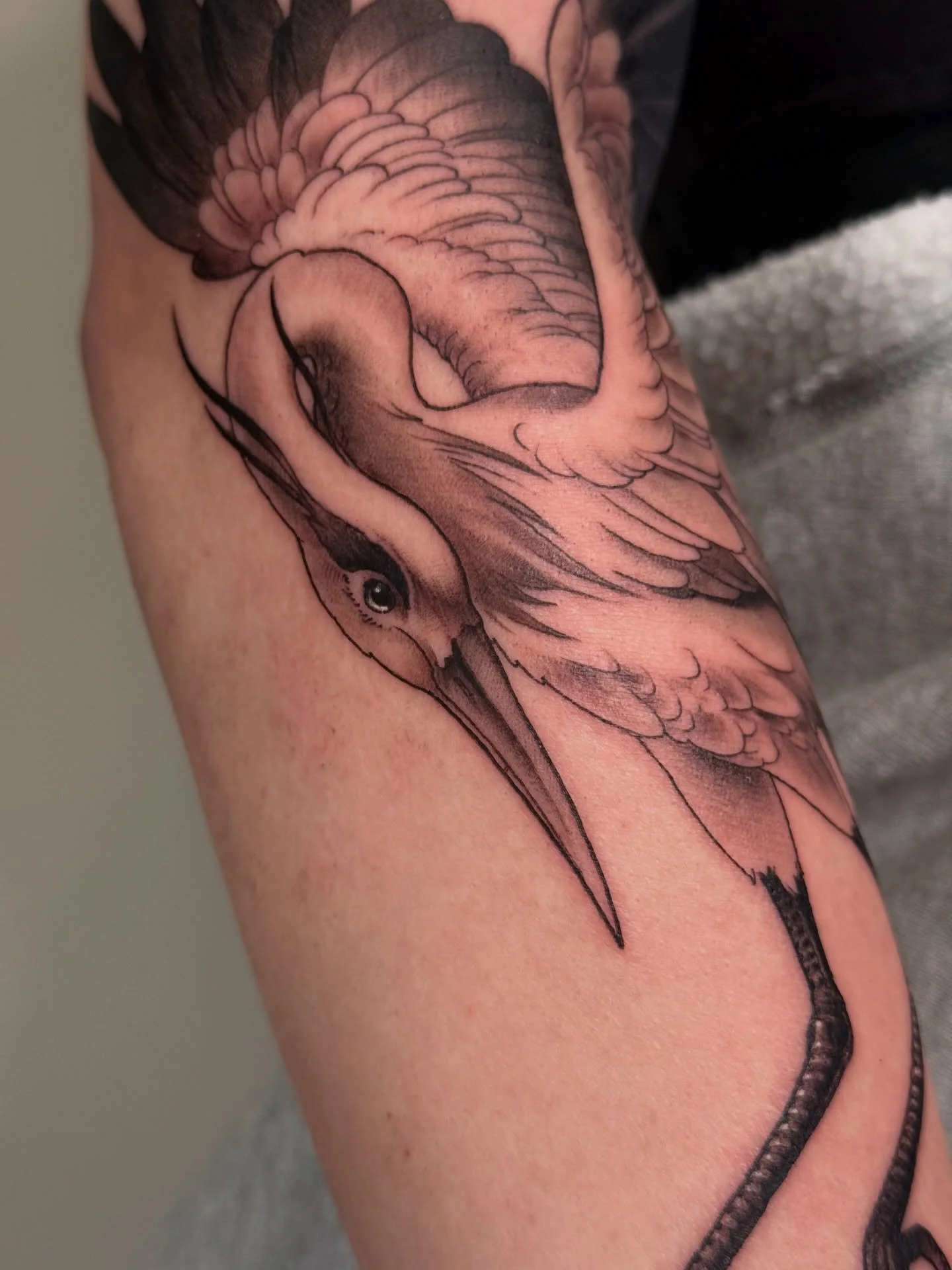 Heron made for Clara