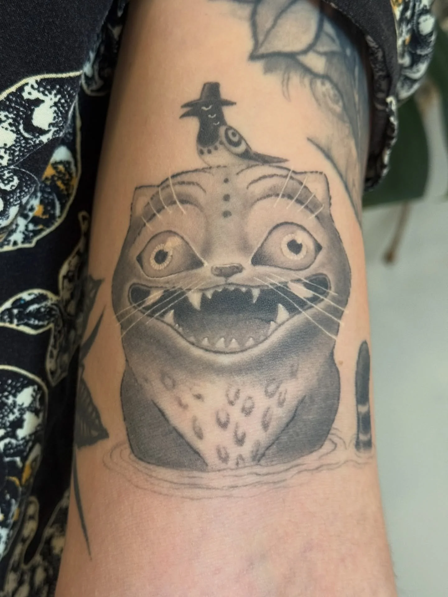 Healed one year - swipe for fresh! Made for William

#healedtattoo #kpopdemonhunters #tigertattoo #magpie