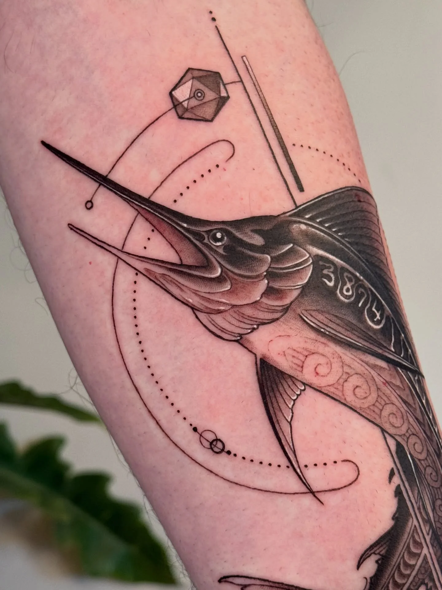 Marlin, made for Marcus. Swipe over for timelapse clips 🎥
#fishtattoo #blackandgreytattoo #portlandtattoo #geometrictattoo